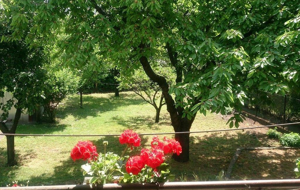 Dom wakacyjny Haus In Mit Garten Budapeszt